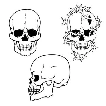 Vector human skulls sketch side and front views isolated illustrations. Stock Illustration