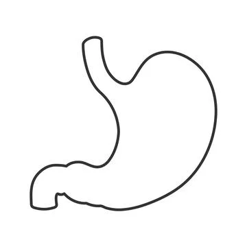 Vector human stomach icon isolated on white background Illustrazione stock