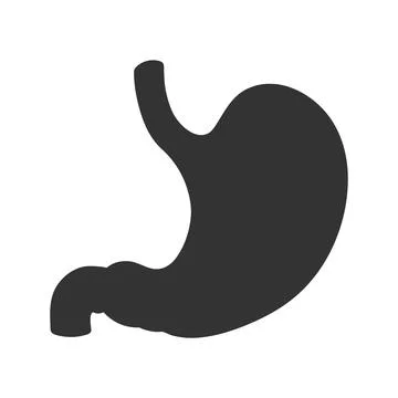 Vector human stomach icon isolated on white background Stock Illustration