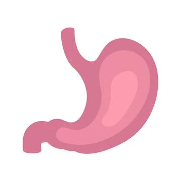 Vector human stomach icon isolated on white background Stock Illustration