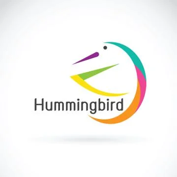 Vector of humming bird design on white background, Bird Logo. 스톡 일러스트