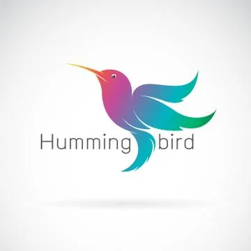 Vector of a hummingbird design on a white background. Animals. Stock Illustration