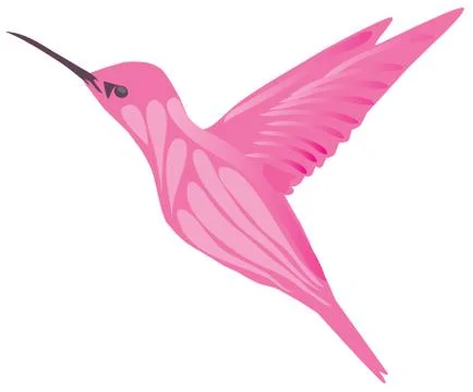 Vector Hummingbird Isolated Stock Illustration