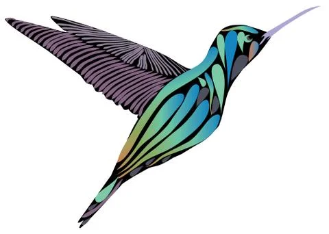 Vector Hummingbird Isolated. Stock Illustration