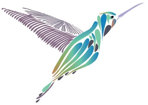 Vector Hummingbird Isolated. Stock Illustration