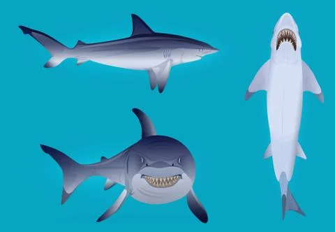 Vector Hungry agressive and scary shark fish silhouette set. Stock Illustration