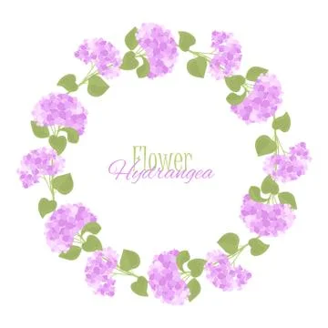 Vector hydrangea flower Stock Illustration