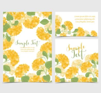 Vector hydrangea flower Stock Illustration