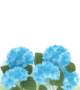 Vector hydrangea flower Stock Illustration