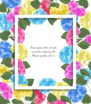 Vector hydrangea flower Stock Illustration