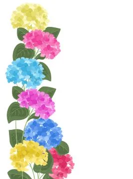Vector hydrangea flower Stock Illustration