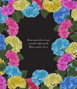 Vector hydrangea flower Stock Illustration