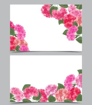 Vector hydrangea flower Stock Illustration