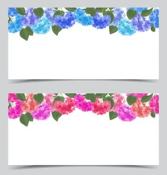 Vector hydrangea flower Stock Illustration