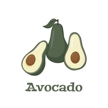 Vector icon of avocado. avocado fruit in flat design. vector illustration Stock Illustration