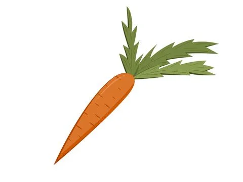 Vector icon of a carrot, isolated on a white background. Stock Illustration