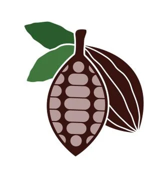 Vector icon of cocoa bean Stock Illustration