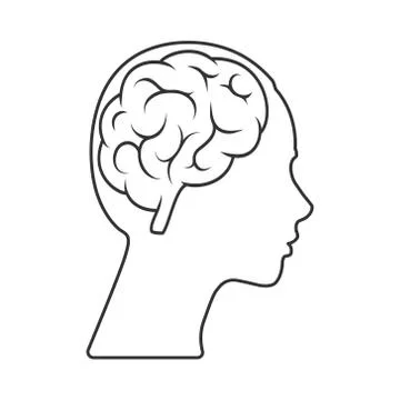 Vector icon of a female head with a brain Empty outline isolated on a white b 스톡 일러스트