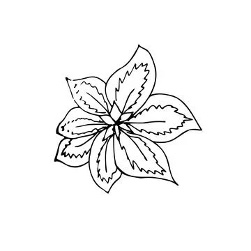 Vector icon flower Stock-Illustration