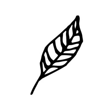 Vector icon flower leafs for botanic Stock Illustration