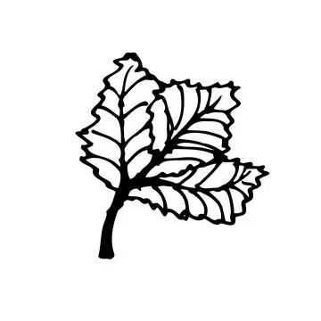 Vector icon flower leafs for botanic Stock Illustration