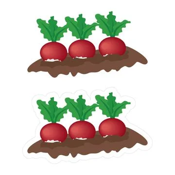 Vector icon of a garden bed with growing radish or beetroot Stock Illustration
