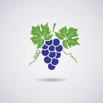 Vector icon of grapes Stock Illustration
