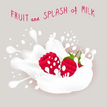 Vector icon illustration logo for fruit red raspberry Illustrazione stock