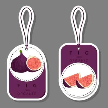 Vector icon illustration logo for whole ripe fruit purple fig Stock Illustration