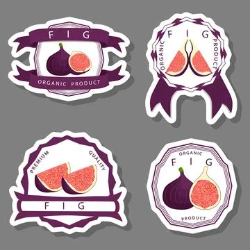 Vector icon illustration logo for whole ripe fruit purple fig Stock Illustration