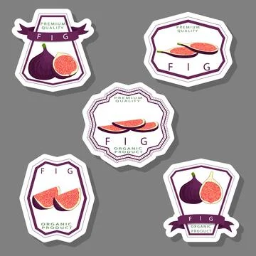 Vector icon illustration logo for whole ripe fruit purple fig Stock Illustration