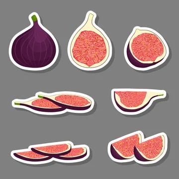 Vector icon illustration logo for whole ripe fruit purple fig Stock Illustration