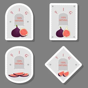 Vector icon illustration logo for whole ripe fruit purple fig Stock Illustration