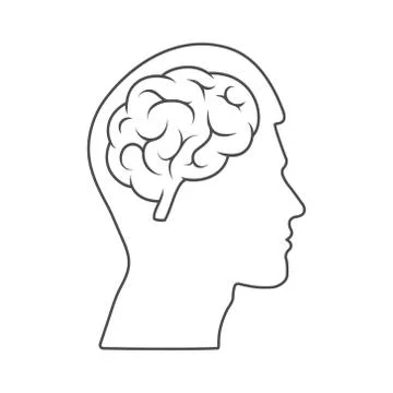Vector icon of a male head with a brain Empty outline isolated on a white bac 스톡 일러스트