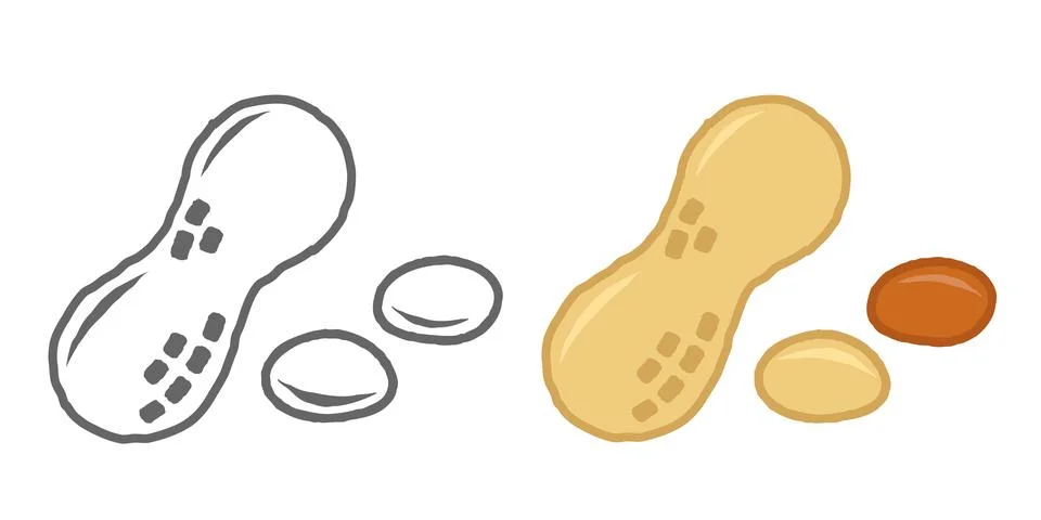 Vector icon of peanut in flat style. Vector illustration of peanut in retro.. Иллюстрация