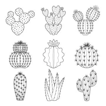 Vector icon set of contour cactus and succulent Stock Illustration