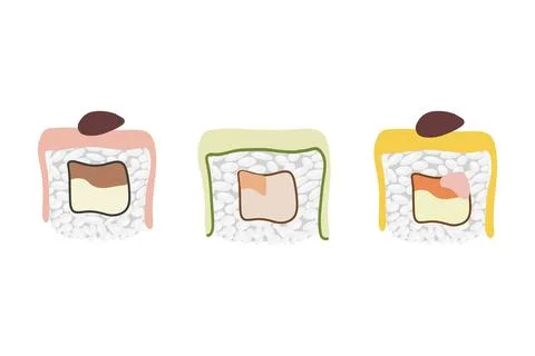 Vector icon set of yummy colored sushi rolls. Collection of different flavo.. Stock Illustration