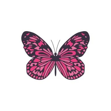 Vector icon of simple butterfly with abstract symmetrical ornament on open wings 스톡 일러스트