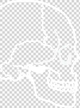 Vector icon of skeleton Stock Photos