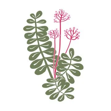 Vector icon of tropical plant. Flat green leaves and pink blooming buds. Natural Stock Illustration