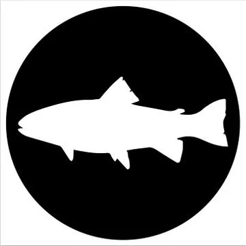 Vector  icons and illustrations fish - Vector Stock Illustration