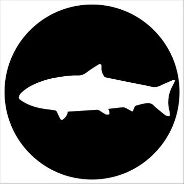 Vector  icons and illustrations fish - Vector Stock Illustration