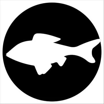 Vector  icons and illustrations fish - Vector Stock Illustration