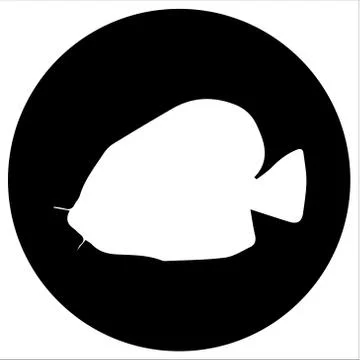 Vector  icons and illustrations fish - Vector イラスト素材