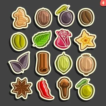 Vector icons for culinary Spices Stock Illustration