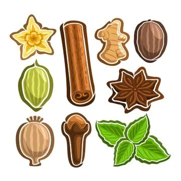 Vector icons for culinary Spices Stock Illustration