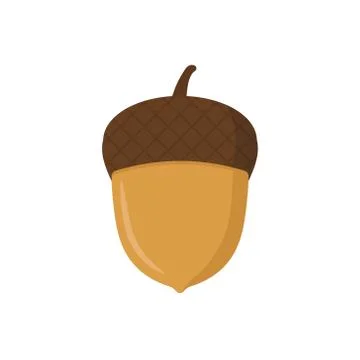 Vector illstration of acorn icon. Flat design. Isolated. Stock Illustration