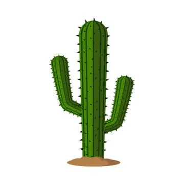 Vector illstration of cactus on white background. Isolated. Stock Illustration