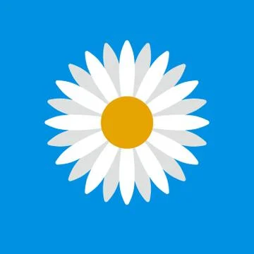 Vector illstration of daisy icon. Flat design. Isolated. Stock Illustration