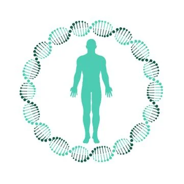 Vector illstration of dna and human body. Flat design. Isolated. Stock Illustration